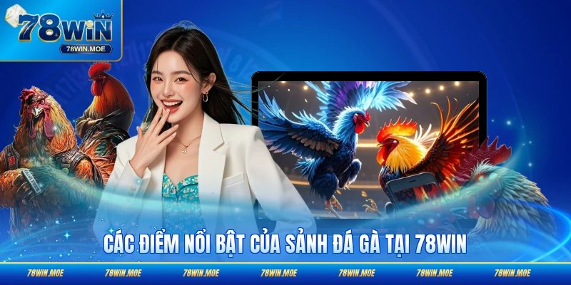 Các điểm nổi bật của sảnh chiến kê máu lửa